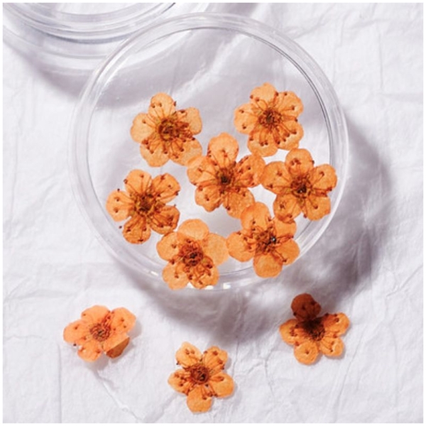Διακοσμητικά Νυχιών 10τμχ - 3D Nail Dried Flowers Orange
