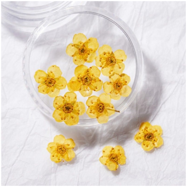 Διακοσμητικά Νυχιών 10τμχ - 3D Nail Dried Flowers Yellow