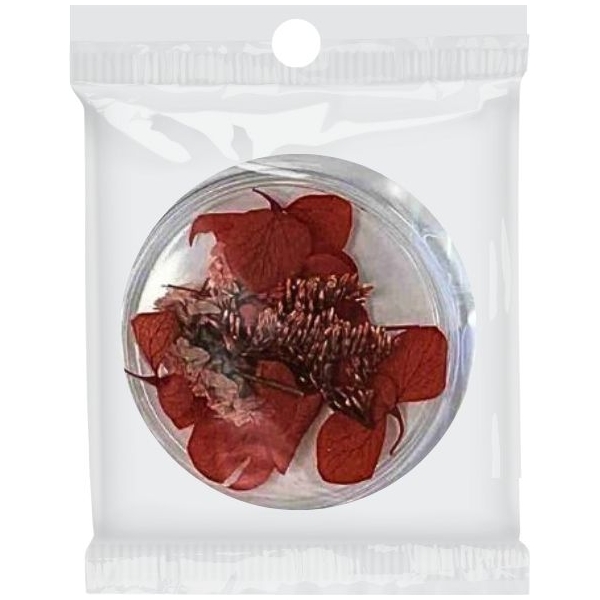 Διακοσμητικά Νυχιών Αποξηραμένα Λουλούδια Κόκκινα